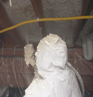 Honolulu HI crawl space insulation